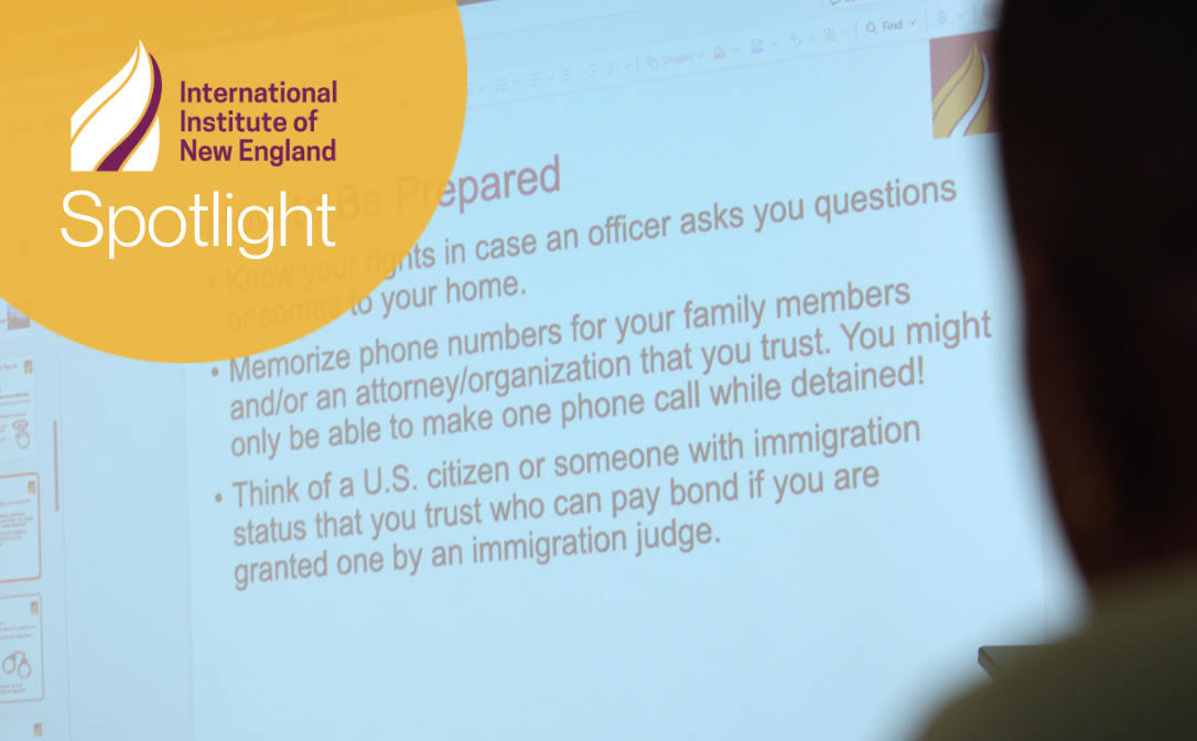 Spotlight Report on Defending Refugees